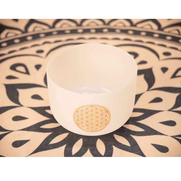Meinl PCSB10FOL