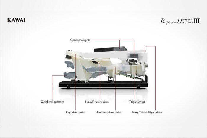 Kawai Cn 301 B