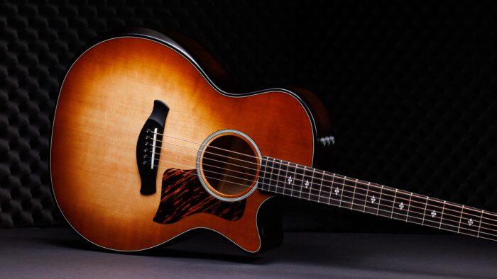 Taylor 314ce 50th Anniversary