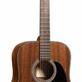 Martin D-19 190th Anniversary