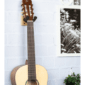 Ortega OGH-1NT