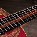 Taylor GS Mini-e Dragon Special Edition