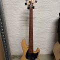 Sandberg TT5 Fretless lines PF Ash NatHG BKPG B-stock