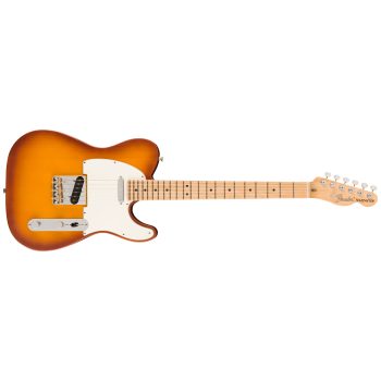 Fender American Performer Telecaster, Maple Fingerboard, Honey Burst