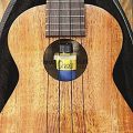 Oasis Oh-18 Ukulele Humidifier