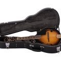 Morgan Mandolin M 70 E Av W/Case