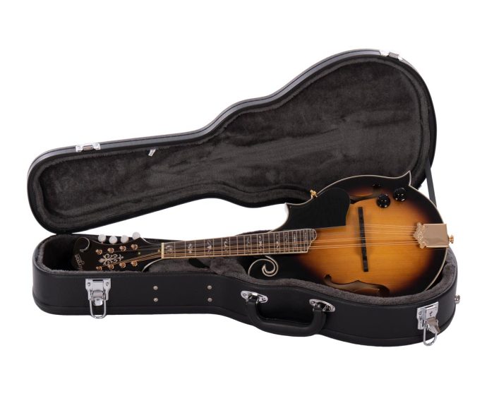 Morgan Mandolin M 70 E Av W/Case