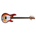 Sterling By Music Man Ray34Fm-Hcb-R2 H.Cbst