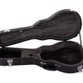 Morgan Mandolin M 70 E Av W/Case