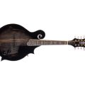 Morgan Mandolin M 70 E Tbk W/Case