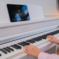 Kawai Ca 501 W