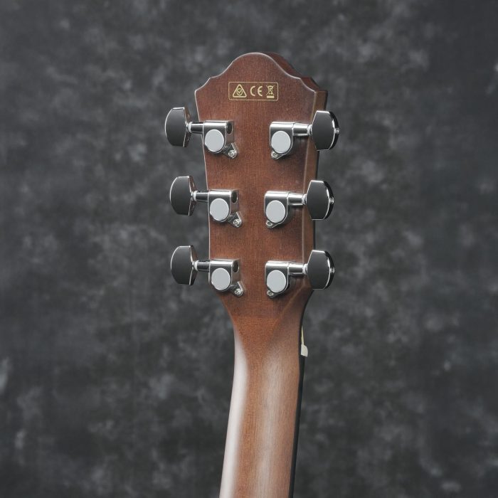 Ibanez AEG50-DHH