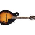 Morgan Mandolin M 70 E Av W/Case