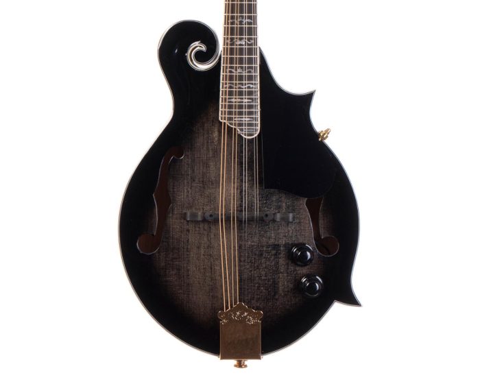 Morgan Mandolin M 70 E Tbk W/Case