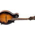 Morgan Mandolin M 70 E Av W/Case