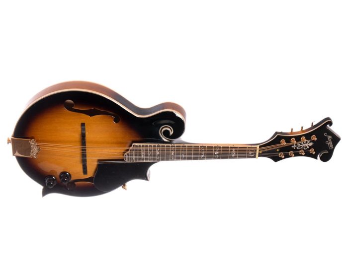 Morgan Mandolin M 70 E Av W/Case