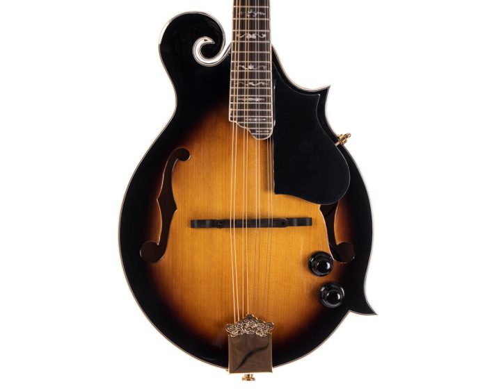 Morgan Mandolin M 70 E Av W/Case