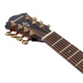 Ibanez AE3007FMH-TBH Western gitarr m/mik, 7-string