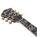 Ibanez AS93SP-BK  Artcore Expressionist