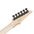 Ibanez RG565R-DY RG Genesis Collection