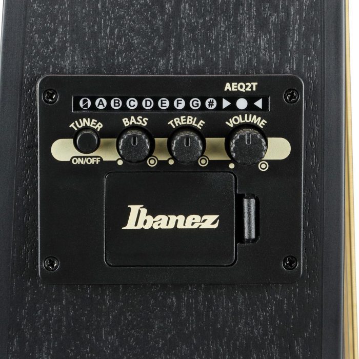 Ibanez TCY621-BOT Western gitarr med mik.