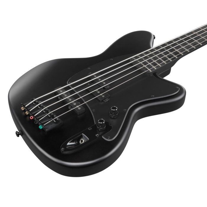 Ibanez TMB425B-BKF Talman, 5-str. Black Fade