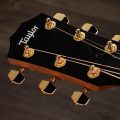 Taylor 214ce-K DLX