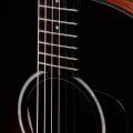 Taylor 217e-SB Plus