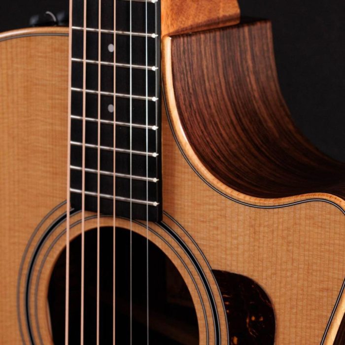 Taylor 414ce Studio Natural