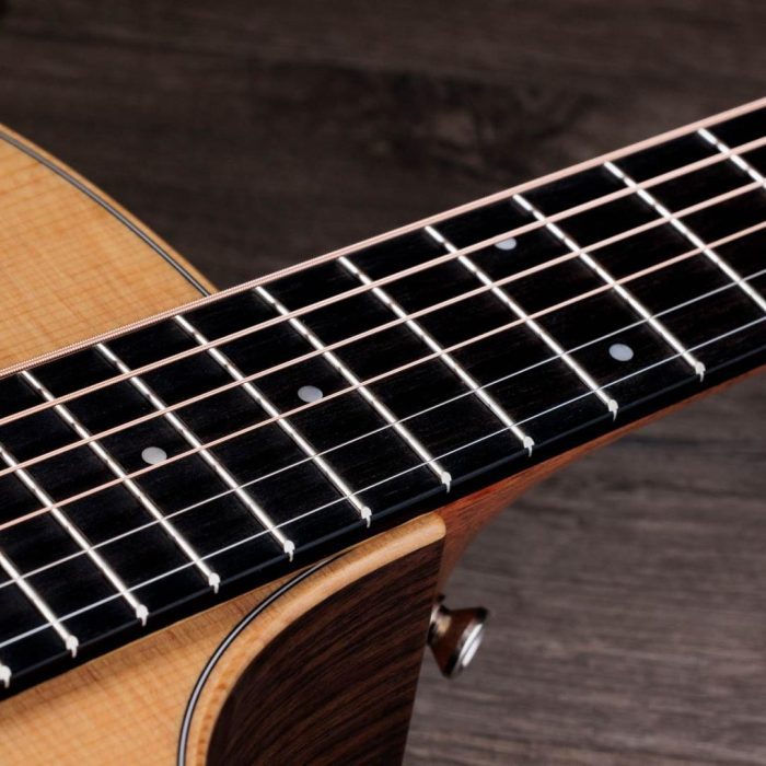 Taylor 414ce Studio Natural