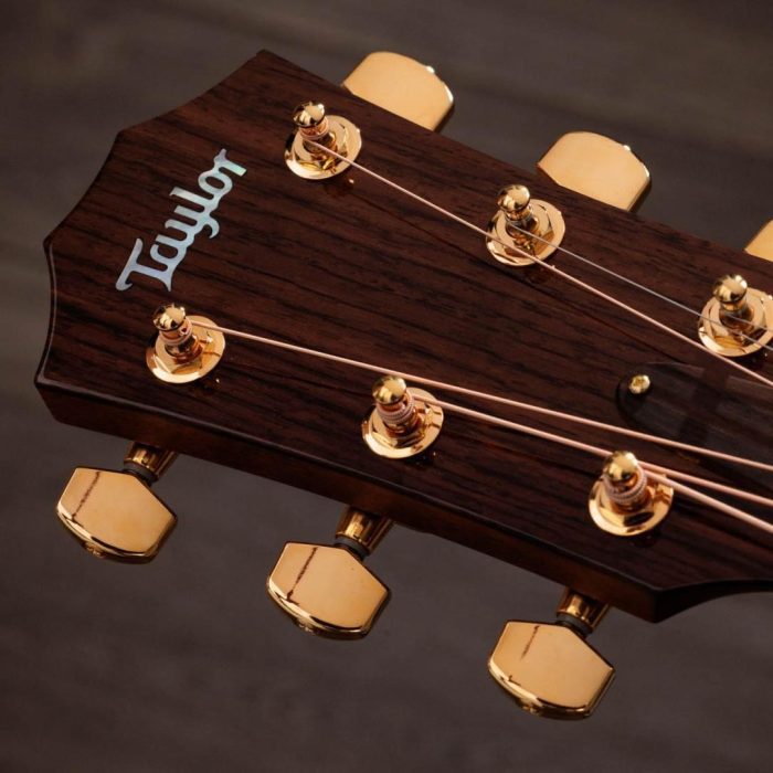 Taylor Legacy 514ce - Limited to 250 units worldwide