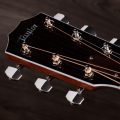 Taylor Legacy 810e - Limited to 250 units worldwide