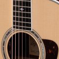 Taylor Legacy 815e - Limited to 250 units worldwide