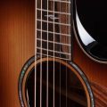 Taylor Builder's Edition 814ce Honduran Rosewood / Adirondack