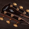 Taylor Builder's Edition 814ce Honduran Rosewood / Adirondack