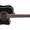 Takamine Ef381Sc Dreadn-12-A/E