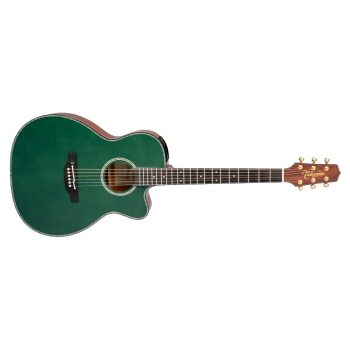 Takamine LTD2025