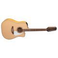 Takamine GD74CE-12U