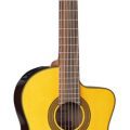 Takamine GC5CE-NAT