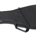 Morgan Rw02 Mandolin