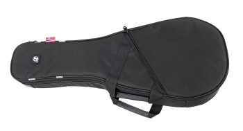Morgan Rw02 Mandolin