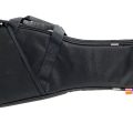 Morgan Rw02 Mandolin