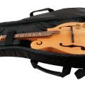 Morgan Rw02 Mandolin