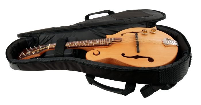Morgan Rw02 Mandolin