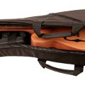 Morgan Rw02 Mandolin