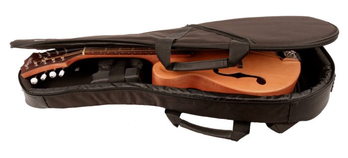 Morgan Rw02 Mandolin