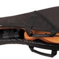 Morgan Rw02 Mandolin