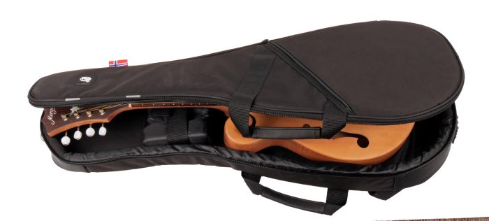 Morgan Rw02 Mandolin