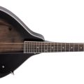 Morgan Mandolin M 20 E Tbk