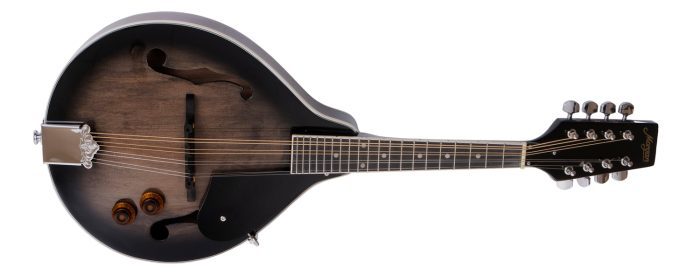 Morgan Mandolin M 20 E Tbk